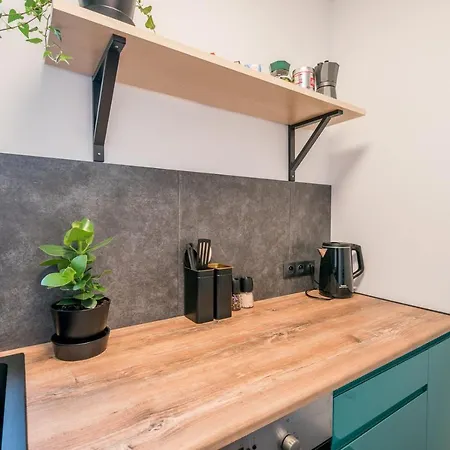 Apartmán 3-room 50m From Main Market Vratislav